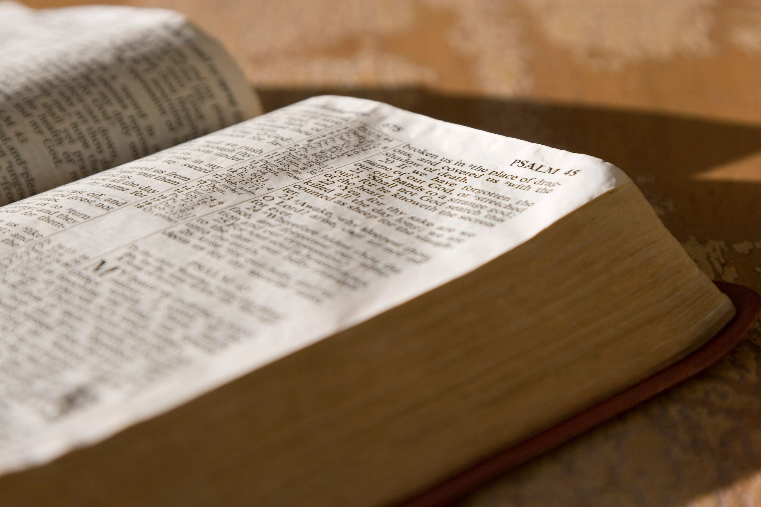 Psalms scripture in the holy bible